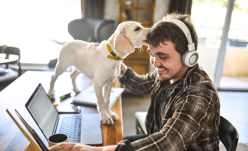 Man with headphones looking at laptop while puppy is standing on desk.